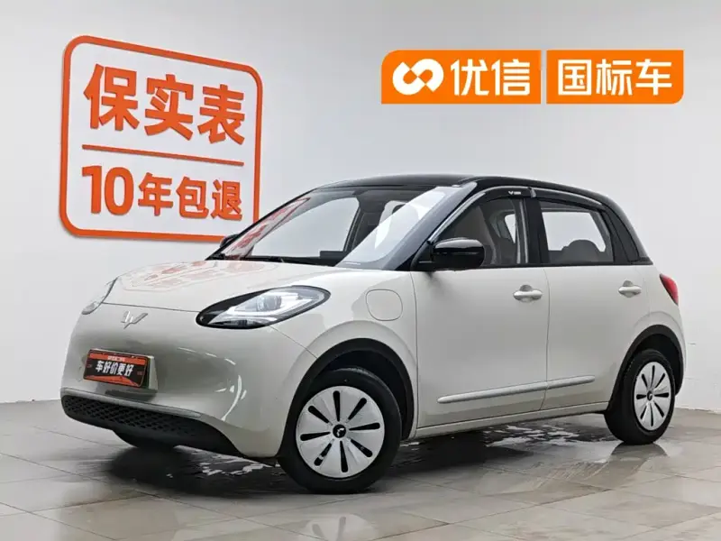 Wuling Bingo
