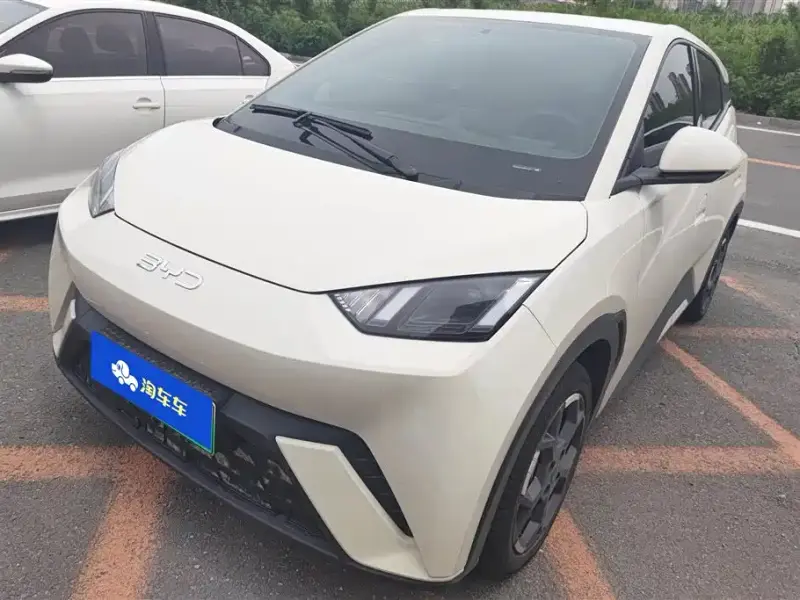 BYD Seagull