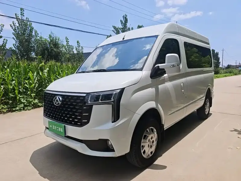Maxus V80