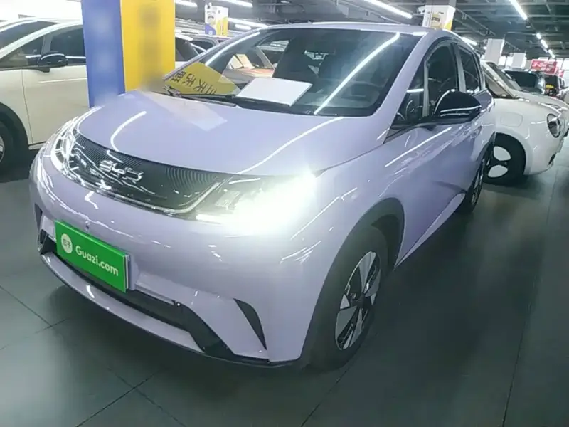 BYD Dolphin