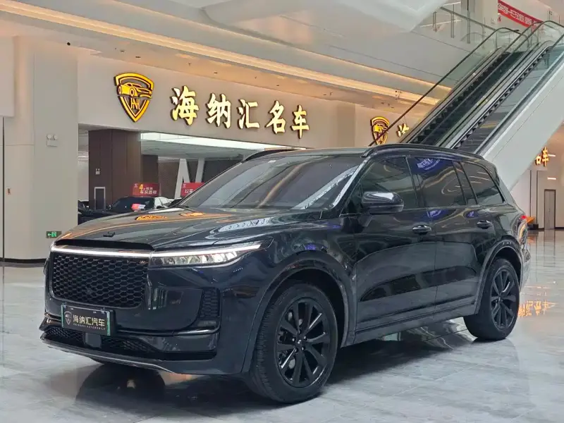 Li Auto ONE