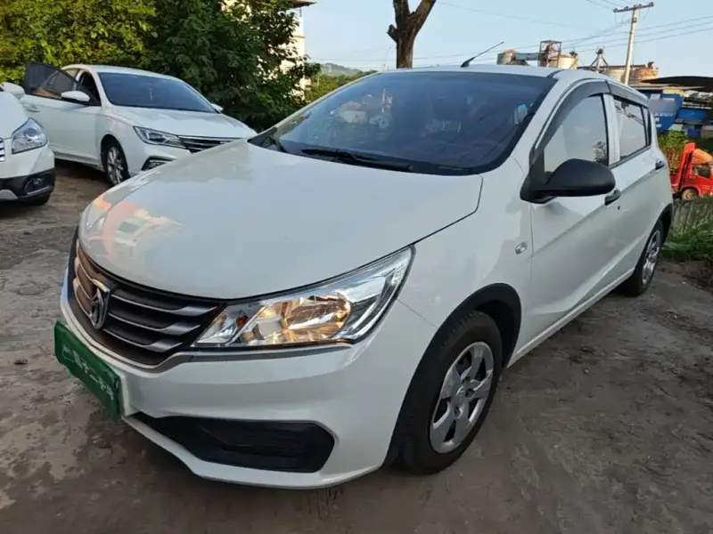 Baojun 310