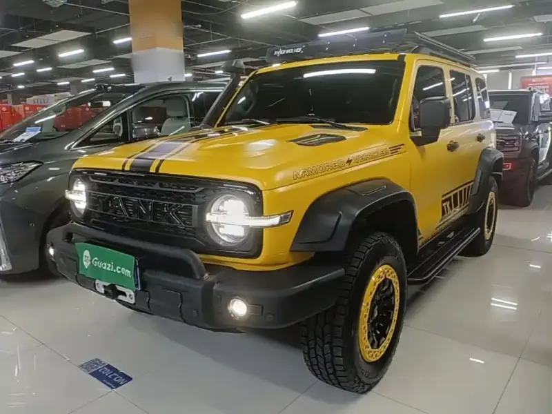 Tank 300