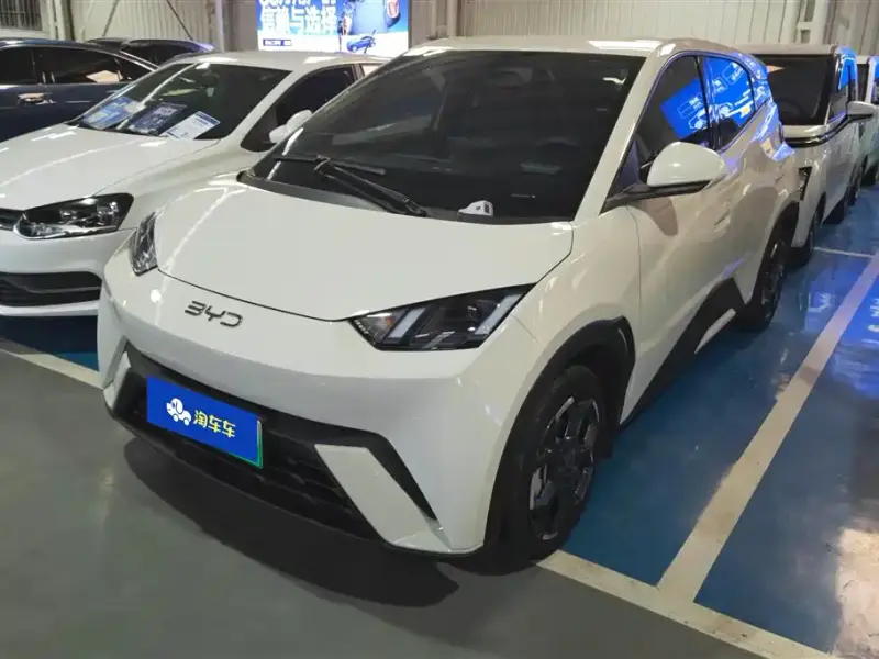 BYD Seagull