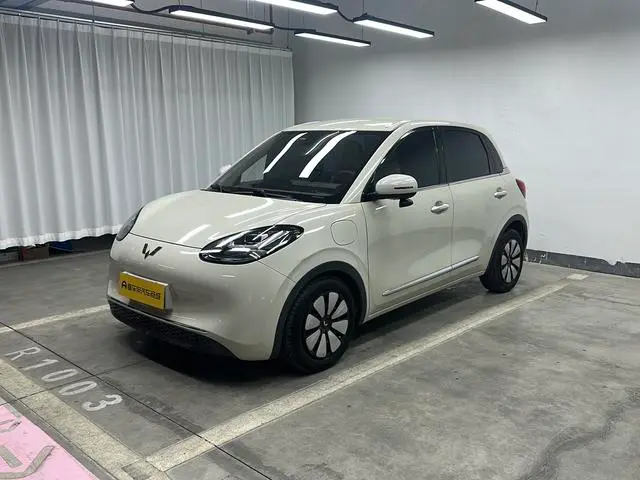 Wuling Bingo