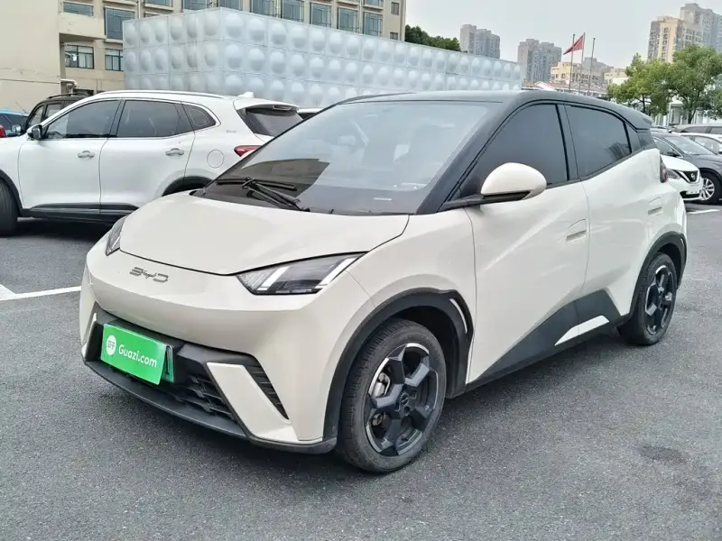 BYD Seagull