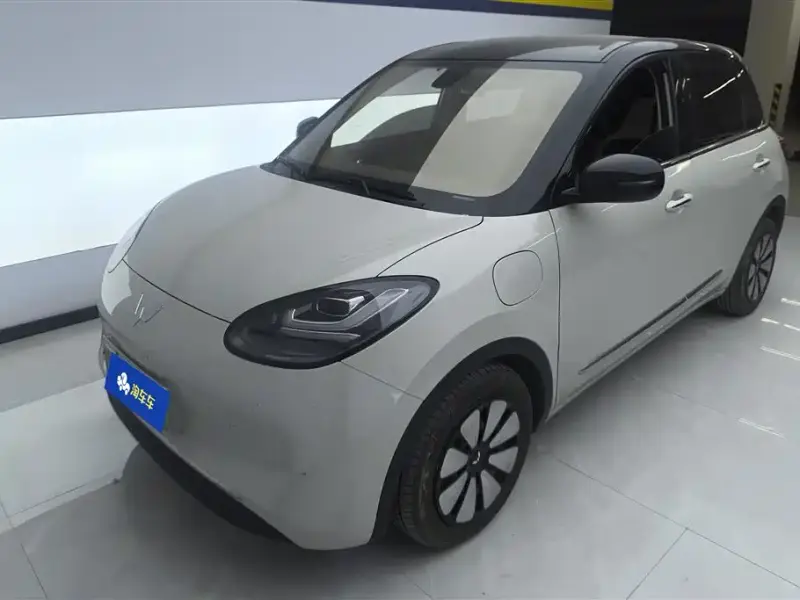 Wuling Bingo
