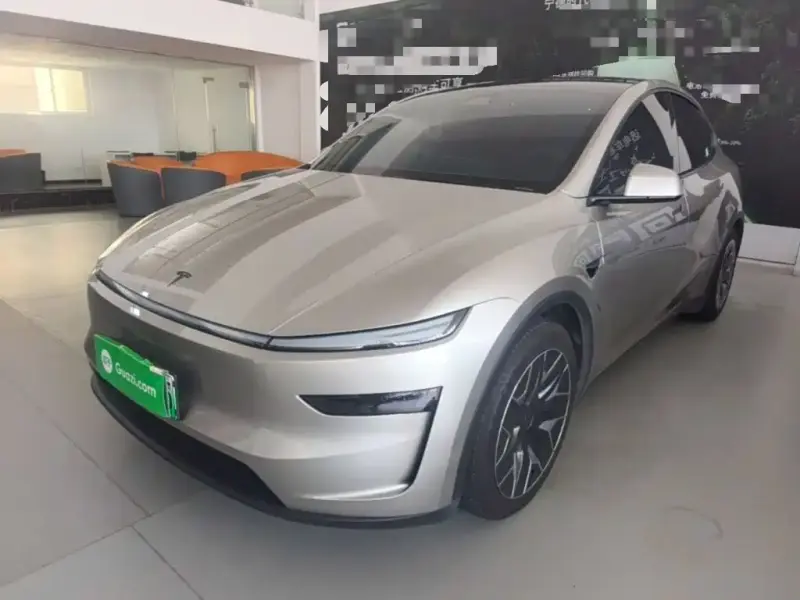 Tesla Model Y L