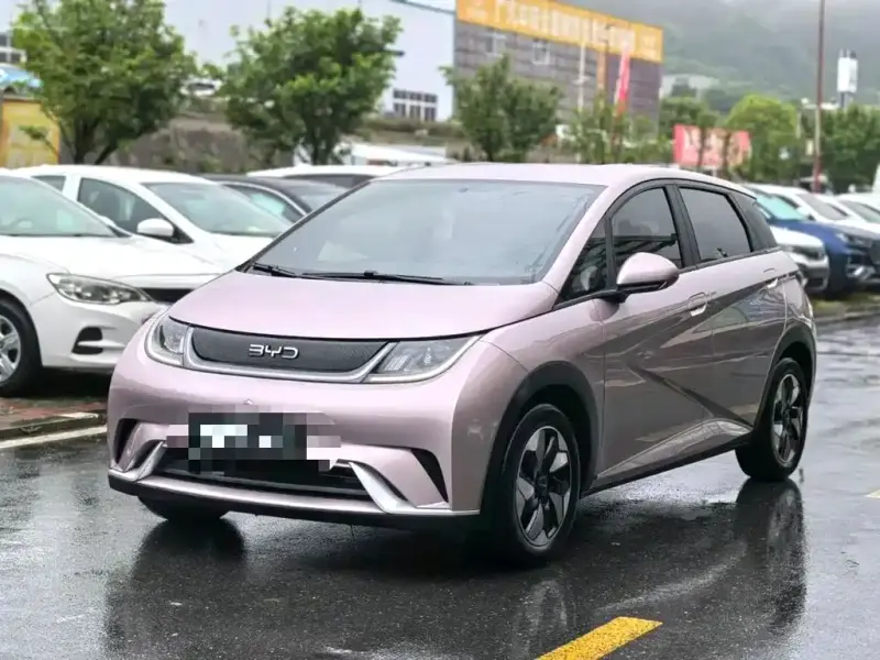 BYD Dolphin