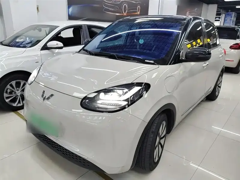 Wuling Bingo