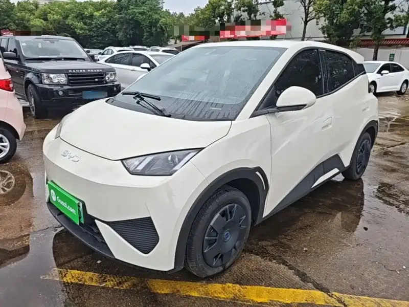 BYD Seagull