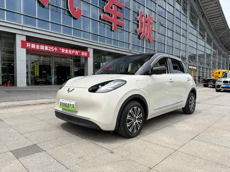 Wuling Bingo