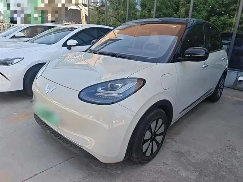 Wuling Bingo