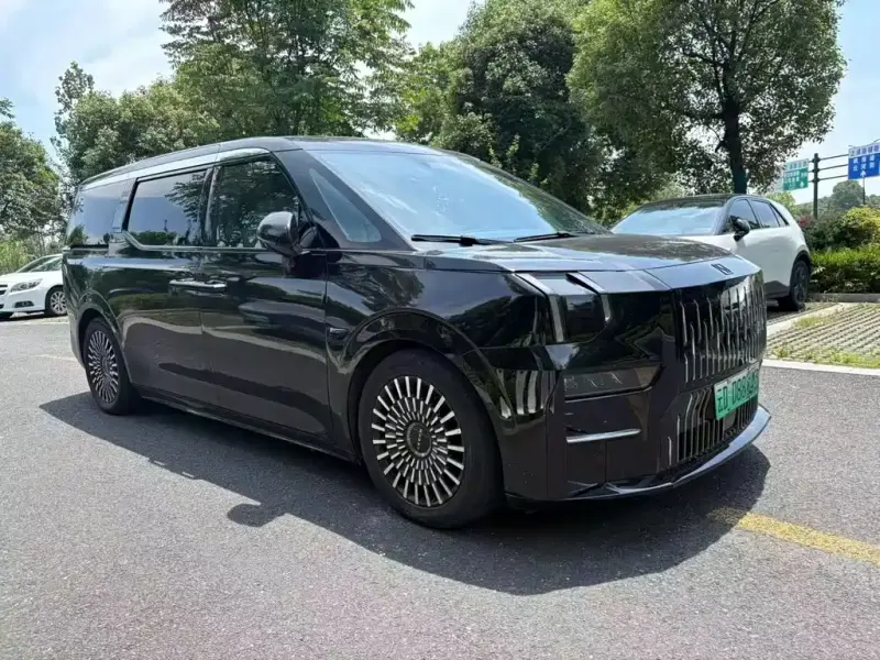 Zeekr 009