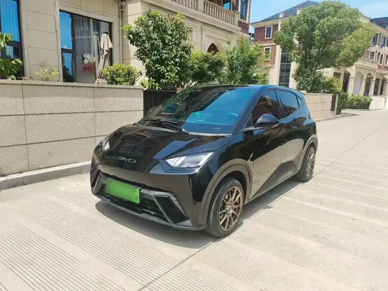 BYD Seagull