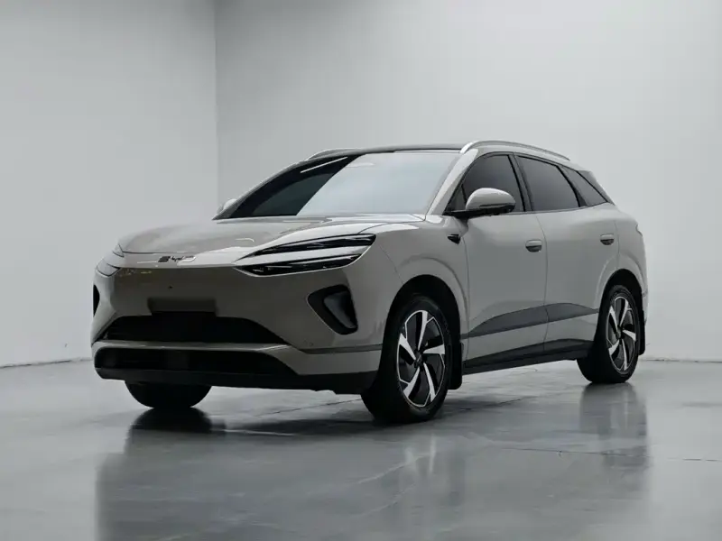 BYD Sea Lion 06