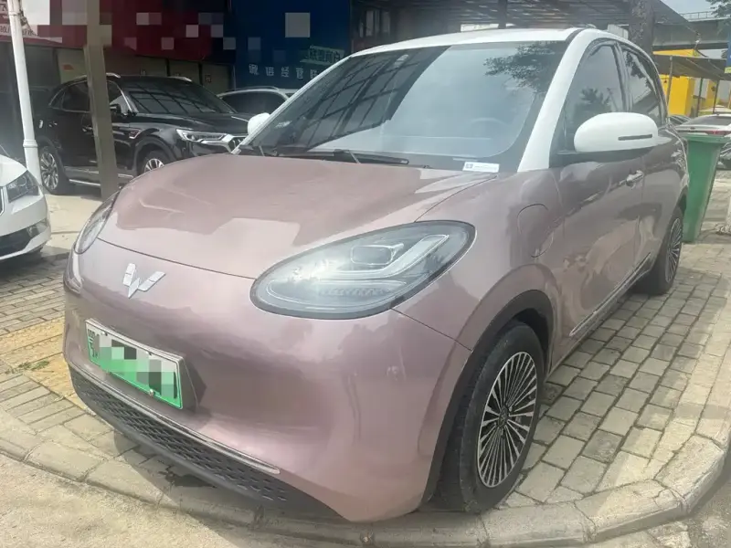 Wuling Bingo