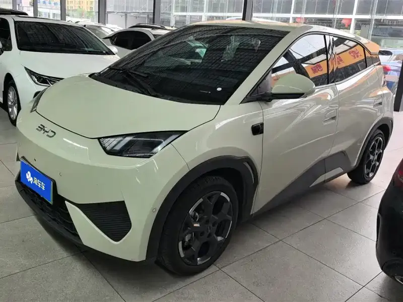 BYD Seagull