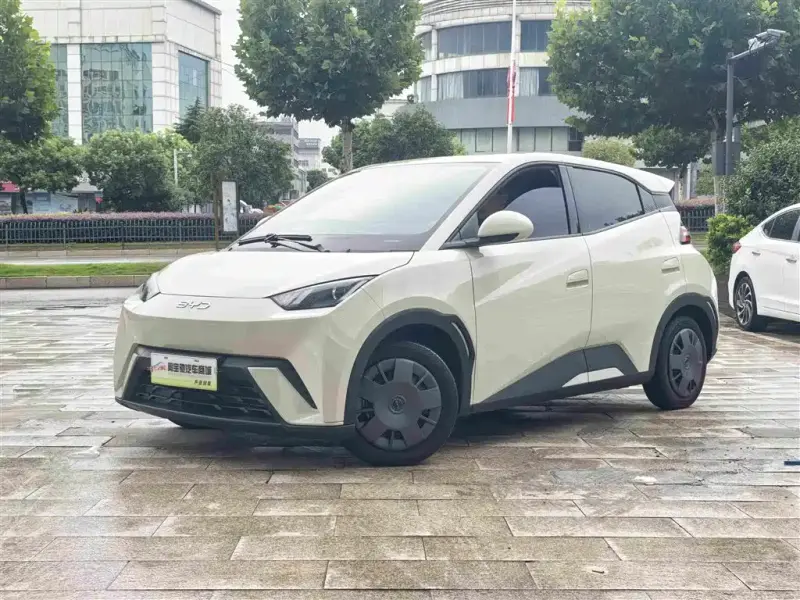 BYD Seagull