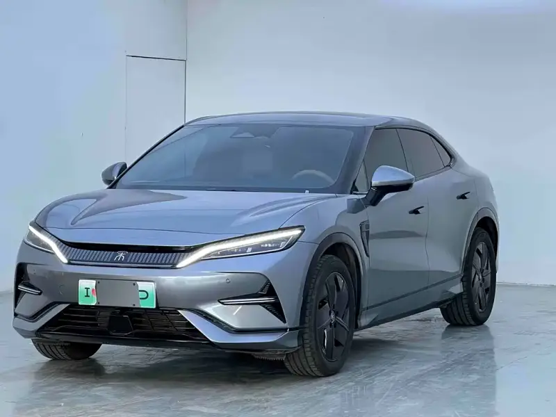 BYD L EV