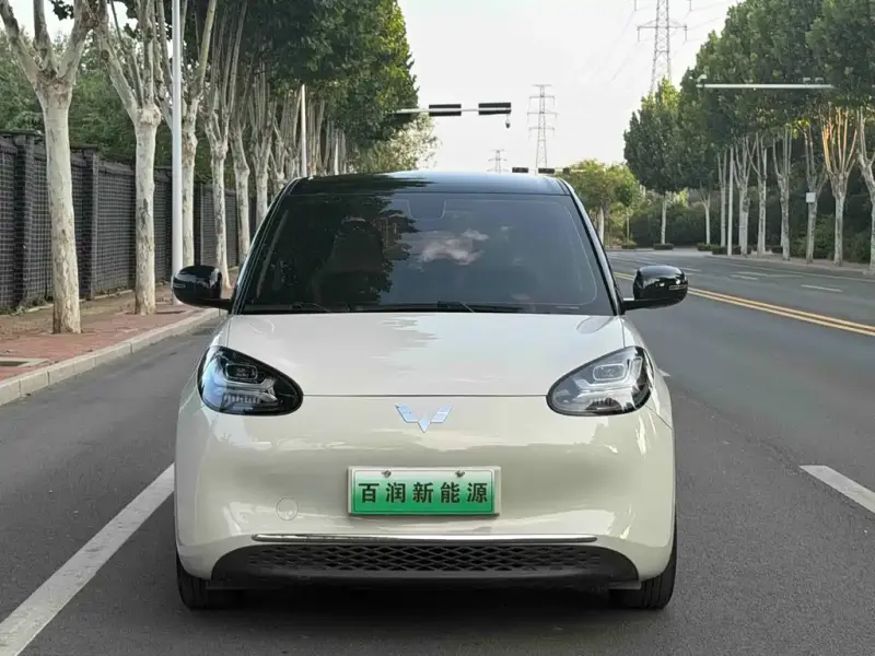 Wuling Bingo