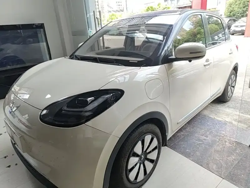 Wuling Bingo