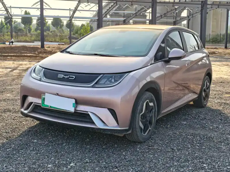 BYD Dolphin