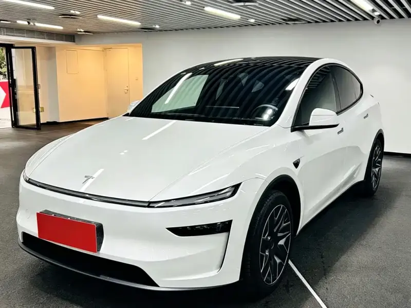 Tesla Model Y L