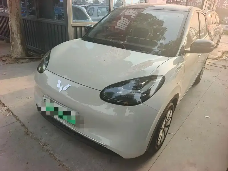Wuling Bingo