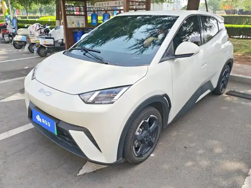 BYD Seagull