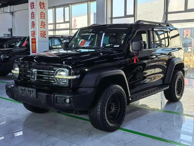 Tank 300