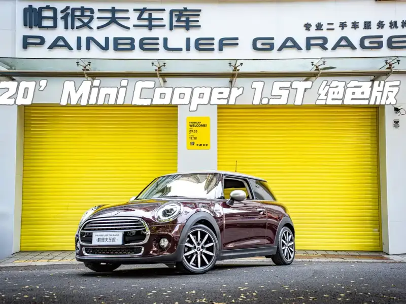 MINI Mini