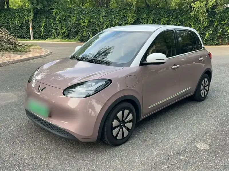 Wuling Bingo