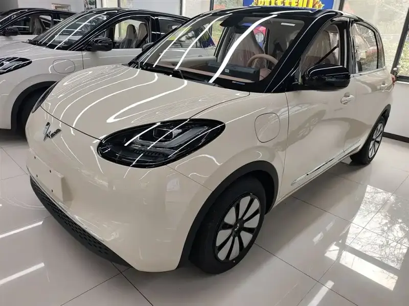 Wuling Bingo