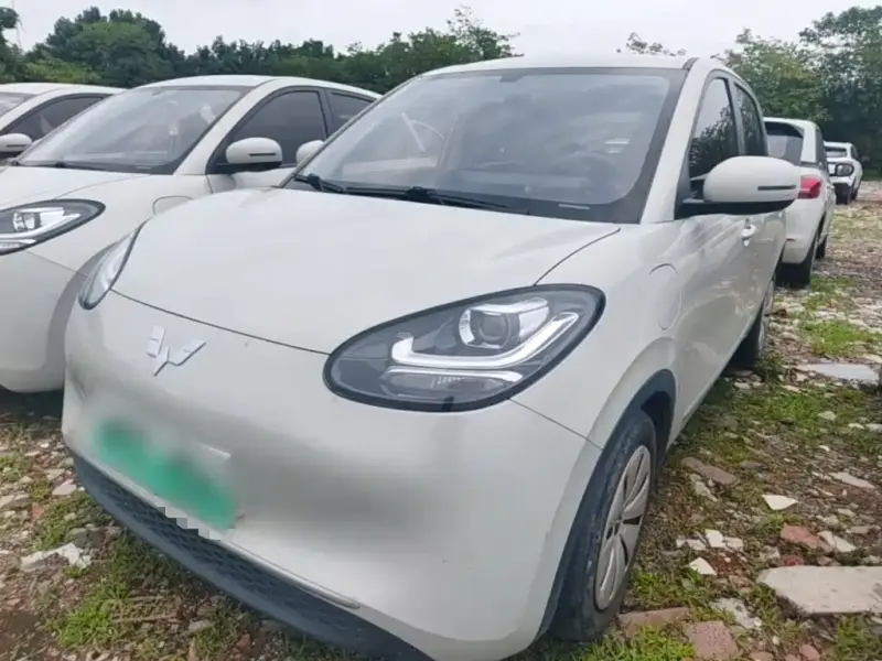 Wuling Bingo