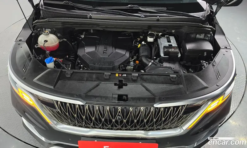 Kia Carnival (Canival)