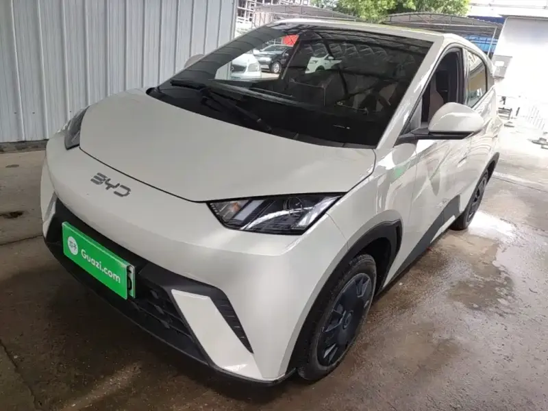 BYD Seagull