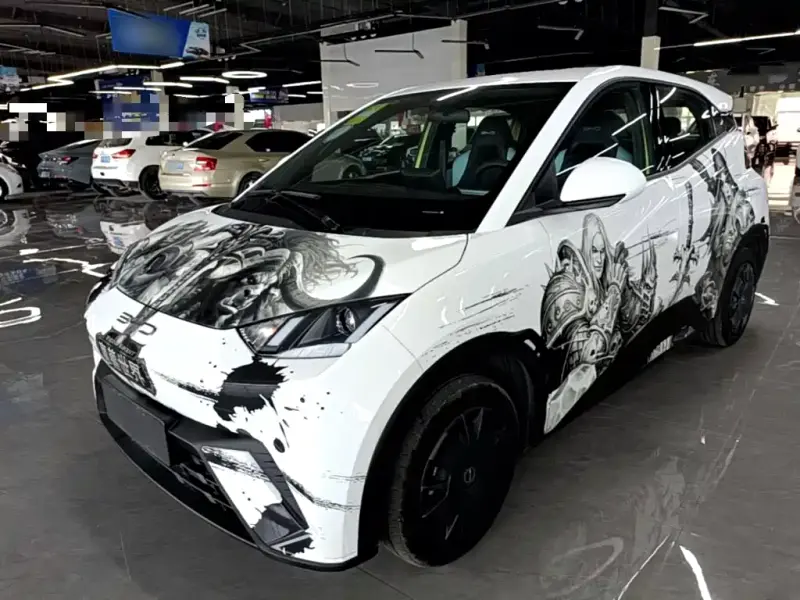 BYD Seagull