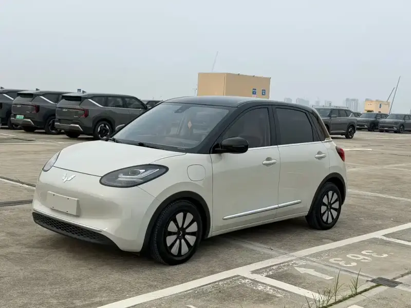 Wuling Bingo