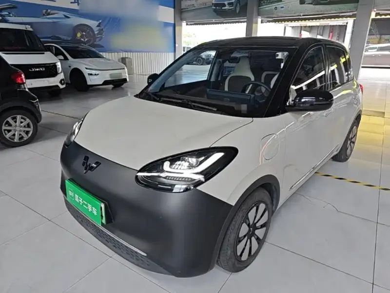 Wuling Bingo