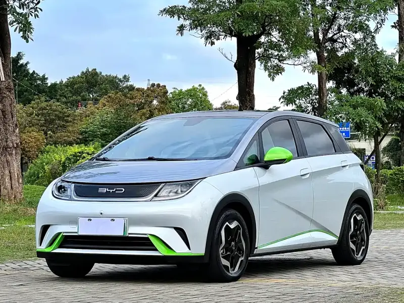 BYD Dolphin