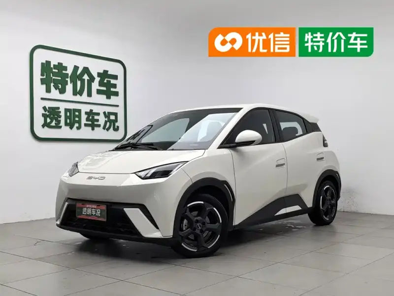 BYD Seagull