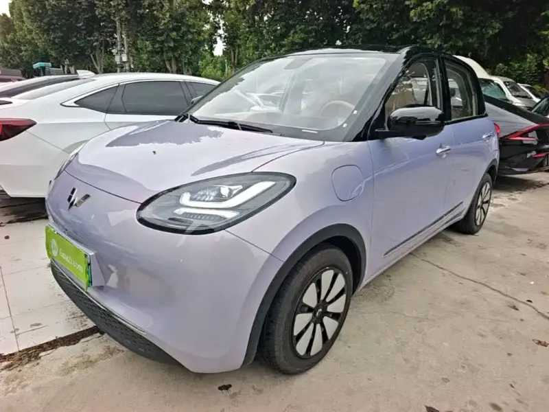 Wuling Bingo