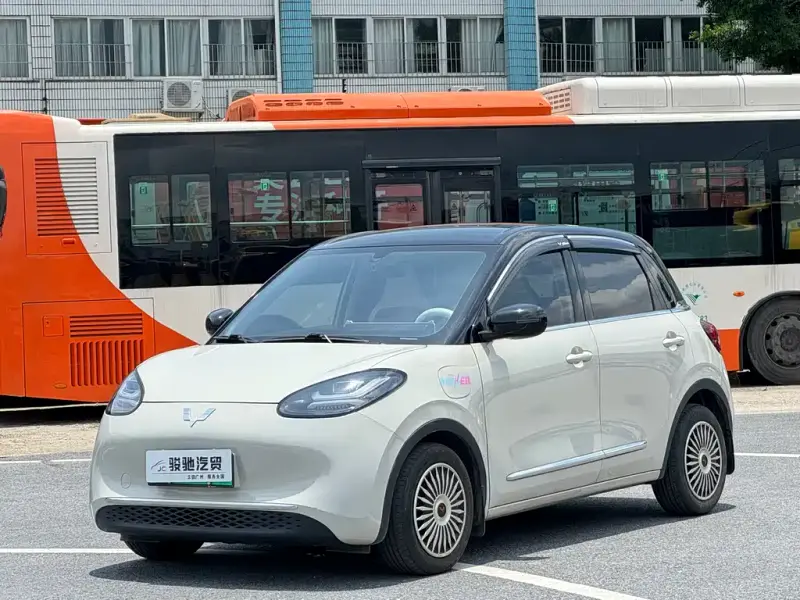 Wuling Bingo
