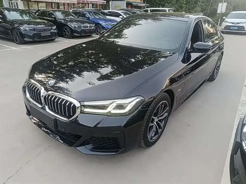 BMW 5 Series (Import)