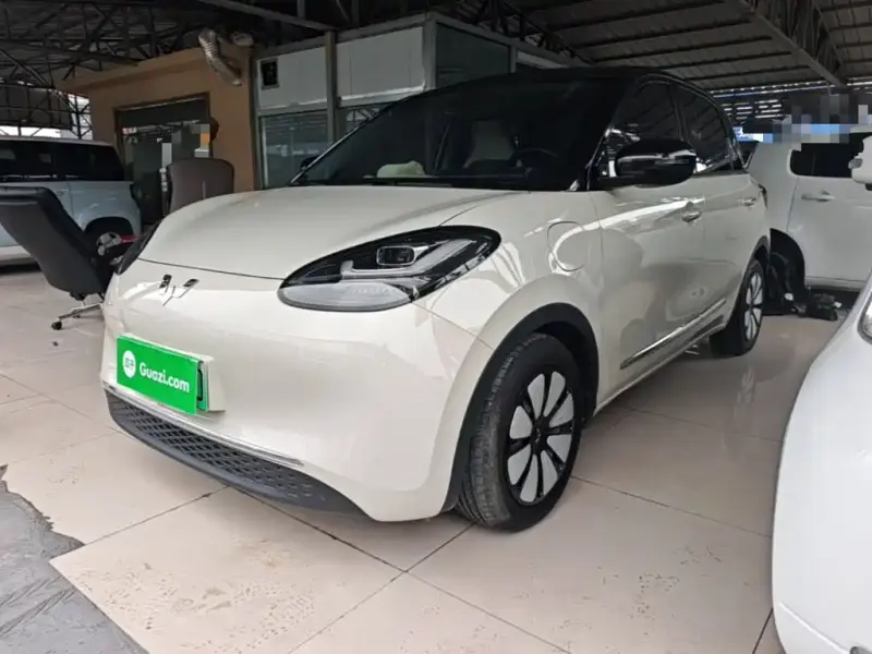 Wuling Bingo