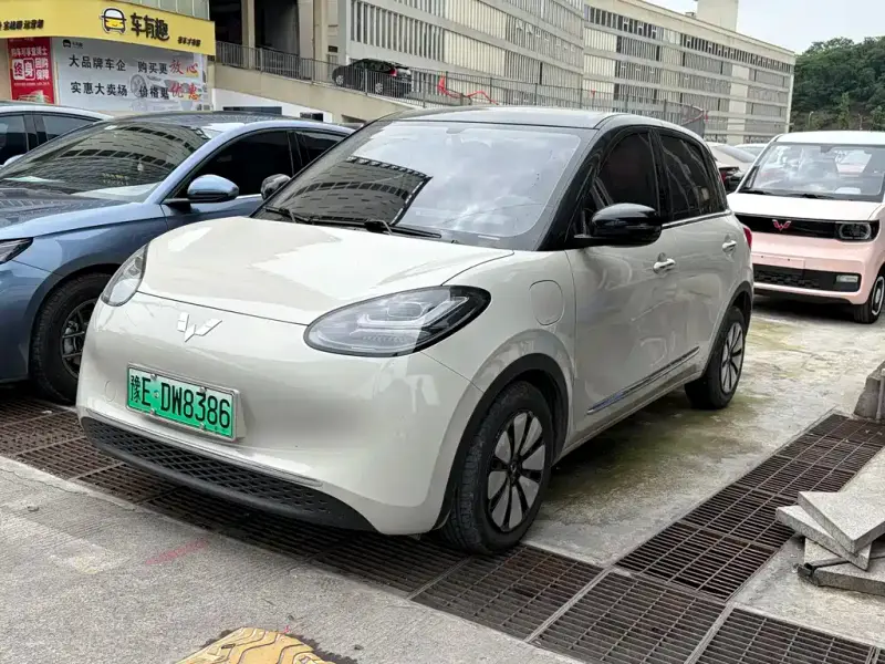 Wuling Bingo