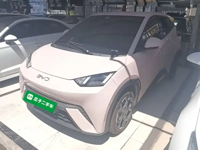 BYD Seagull