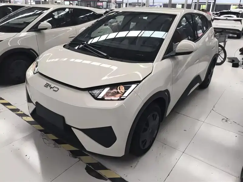 BYD Seagull