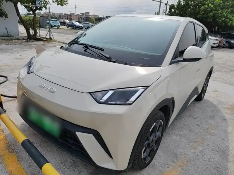 BYD Seagull